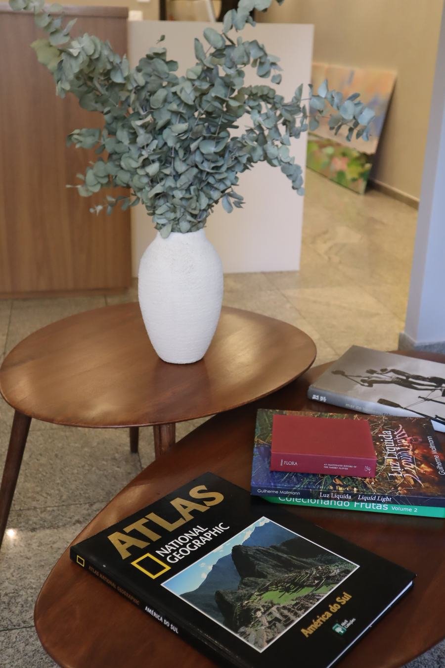 Detalhe do ambiente da Clínica Tera